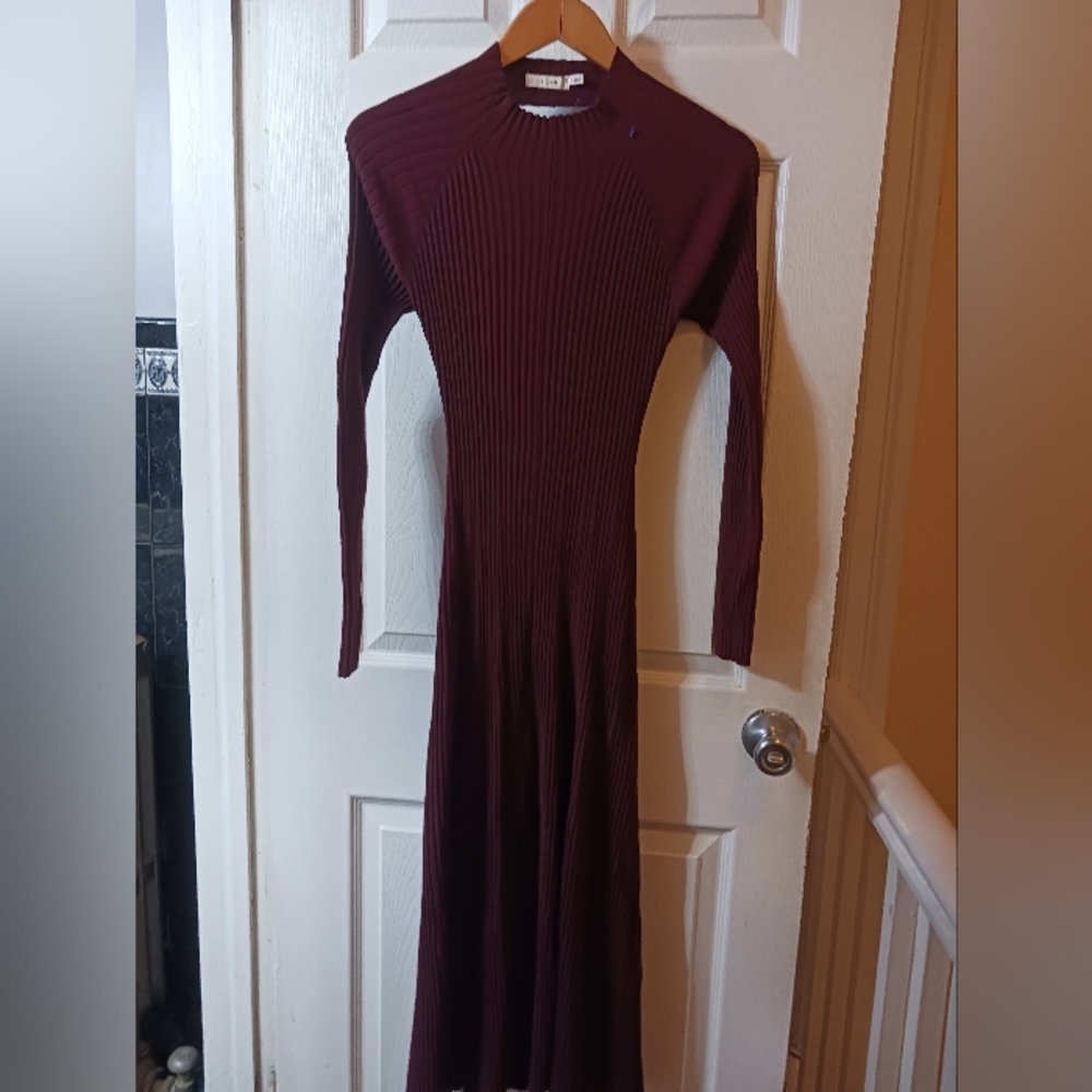 Party in the Back Maron Dress Small